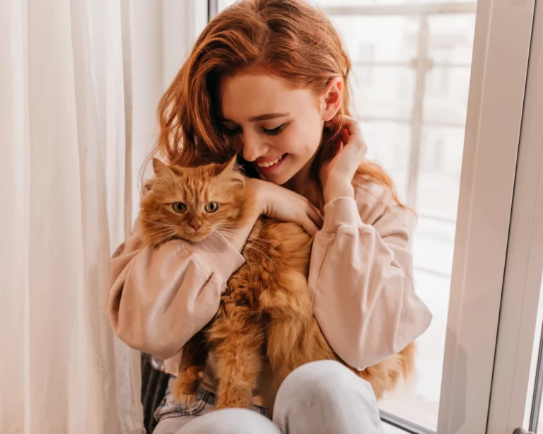 automatic food feeder for dogs